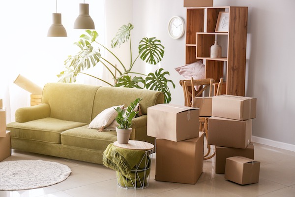 Furniture with moving boxes and belongings in room